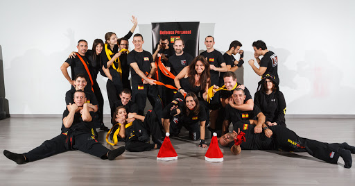 Escuelas de artes marciales en Alicante