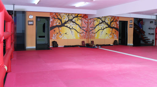 Escuelas de artes marciales en Gijón