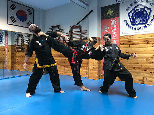 Escuelas de artes marciales en Madrid