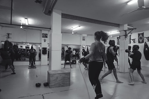 Escuelas de artes marciales en Palma